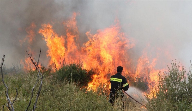 Οδηγίες Δήμου Ελασσόνας για την πρόληψη πυρκαγιών