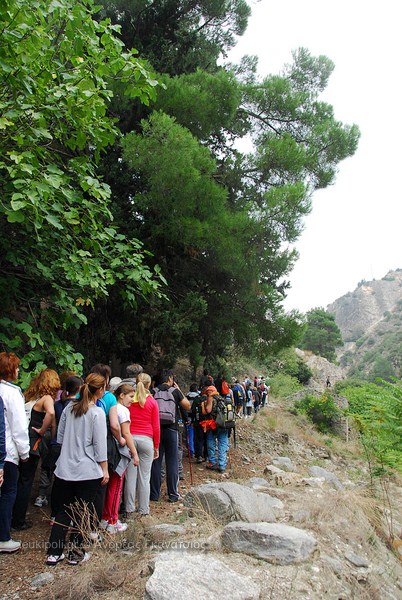 Φωτογραφίες από τον αγώνα στην Τσαριτσάνη