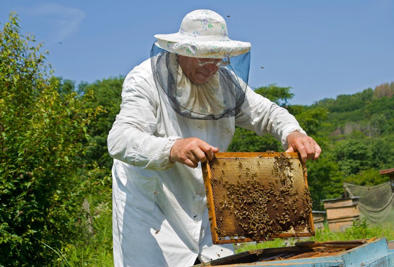 Ενίσχυση για δράσεις μελισσοκόμων Ελασσόνας