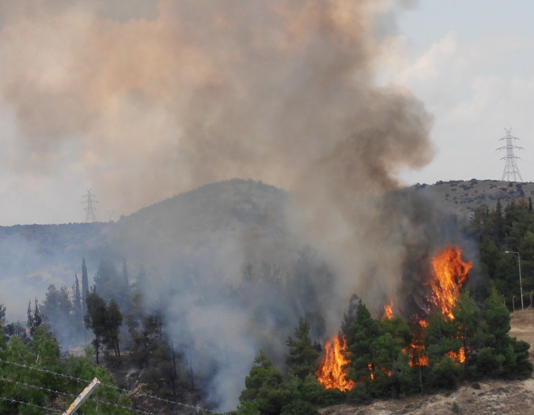 Φοβερή «μάχη» με τις φλόγες  και κινητοποίηση στην Ελασσόνα!