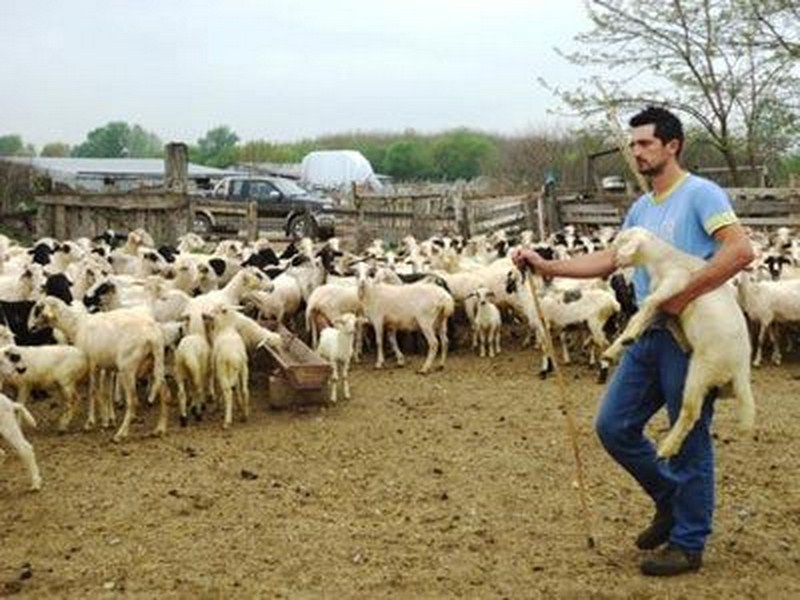 Ενημέρωση για κτηνοτρόφους στο Λιβάδι