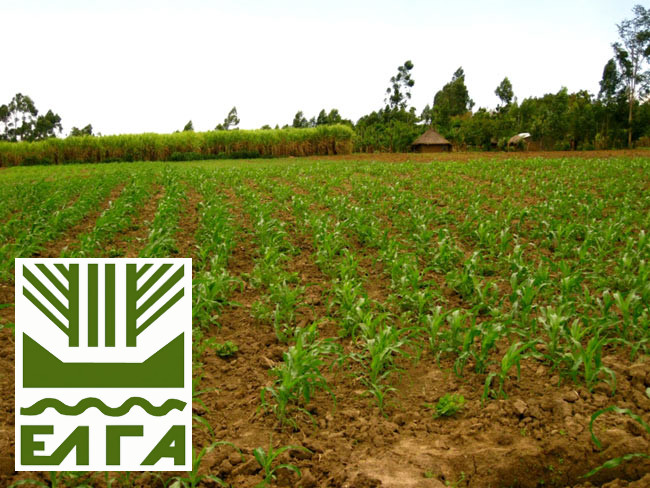 Ενημέρωση για το χαλάζι στο Χάνι Χατζηγώγου