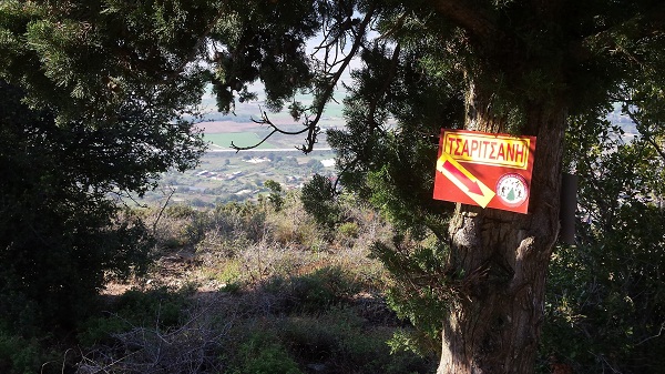 Κοπή πίτας από τους Φίλους του Βουνού και του Δάσους Τσαριτσάνης