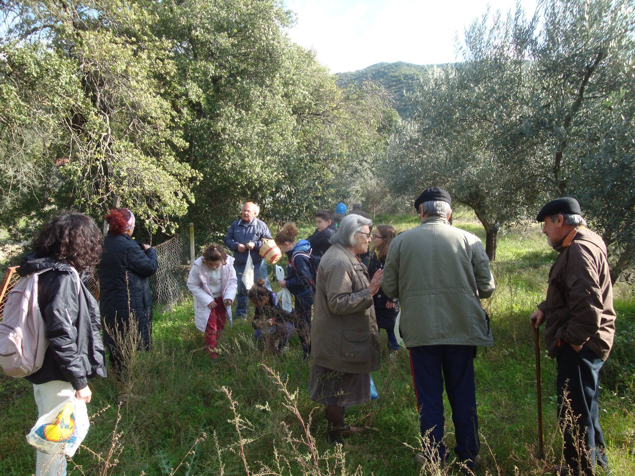 Έμαθαν για τα άγρια χόρτα και τα βότανα στην Τσαριτσάνη