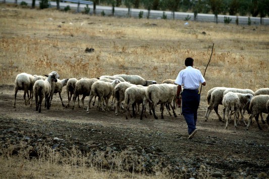 Παραλαβή αιτήσεων ΦΠΑ αγροτών