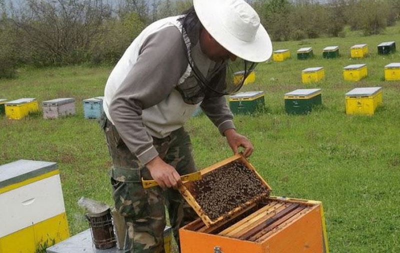 Ετήσια γενική συνέλευση Μελισσοκόμων Ελασσόνας την Κυριακή