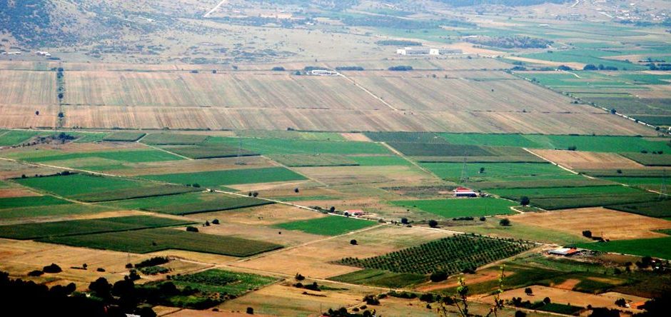 Ανακοίνωση της Ομάδας Πρωτοβουλίας για την αναβίωση του πρώην Ομαδικού Αμπελώνα