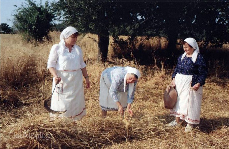 Αναβίωση του Θερισμού στο Δρυμό