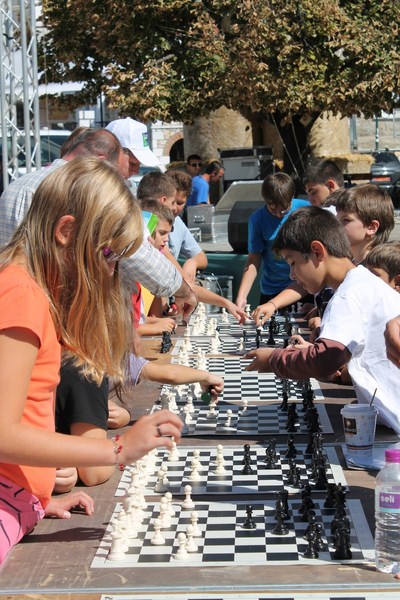 Έναρξη μαθημάτων σκάκι στην Ελασσόνα