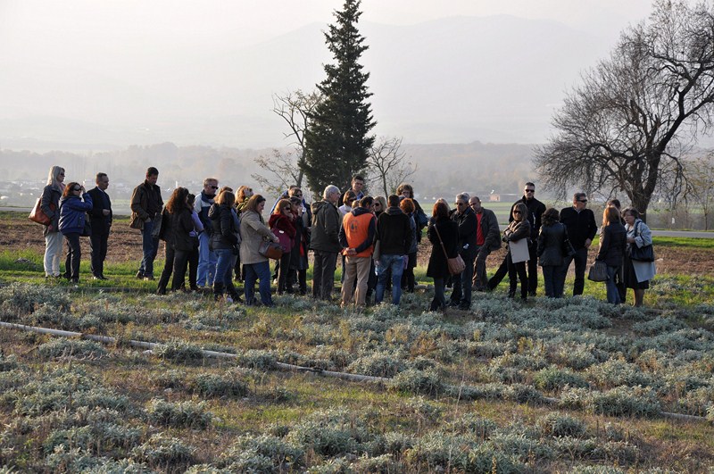 45 άτομα στο πρόγραμμα του ΚΠΕ για τα αρωματικά φυτά