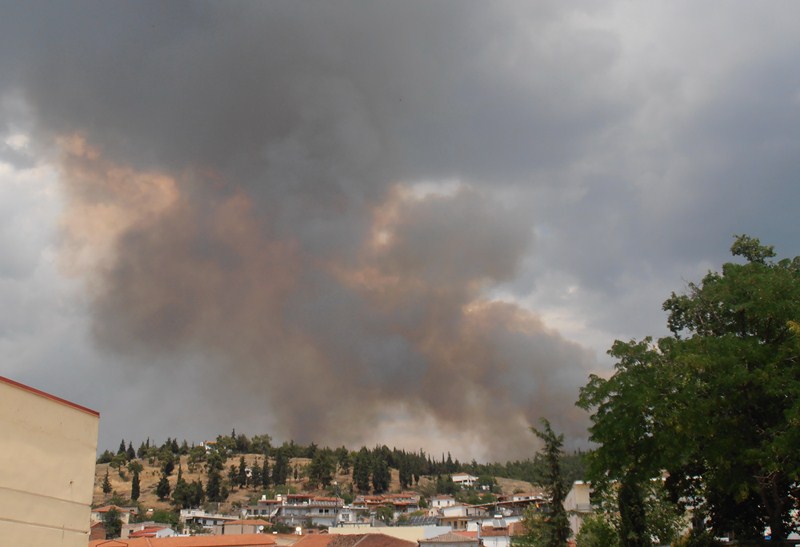 Λαϊκή Συνέλευση στην Ελασσόνα για την απομάκρυνση της Π.Α.Π.