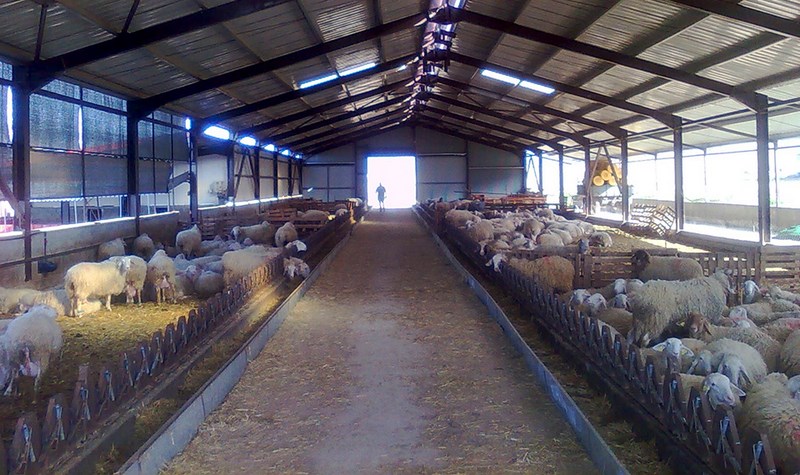 Έκδοση αδειών κτηνοτροφικών εγκαταστάσεων μέχρι τις 12-03-2015