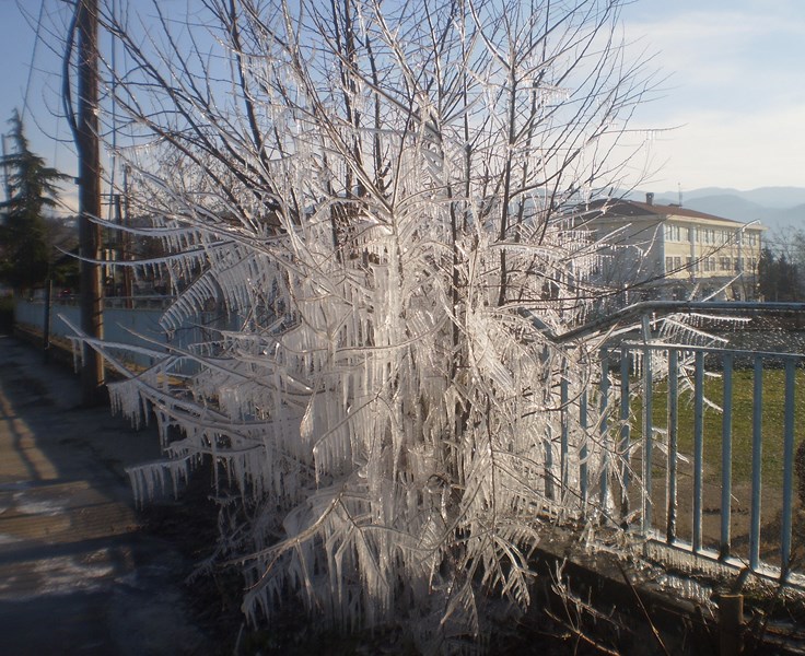 «Ζωγραφιές» πάγου στην Ελασσόνα – Θερμοκρασία υπό το μηδέν