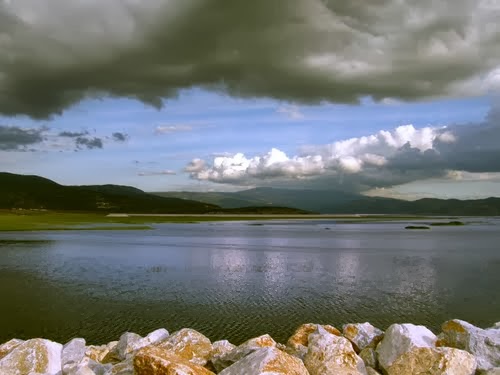 Παρέμβαση του Δικτύου ΜΚΟ Θεσσαλίας για τη λίμνη Κάρλα