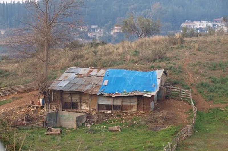 Νέες περιπέτειες στους κτηνοτρόφους από ΚΑΠ και συγκυβέρνηση ΣΥΡΙΖΑ -ΑΝΕΛ