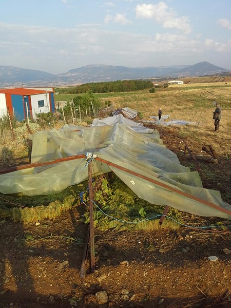 Ο Αγροκτηνοτροφικός Σύλλογος Ολύμπου για τις ζημιές στη Δολίχη
