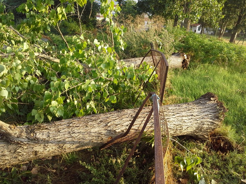 Καταστροφική ανεμοθύελλα έπληξε την κοινότητα Δολίχης