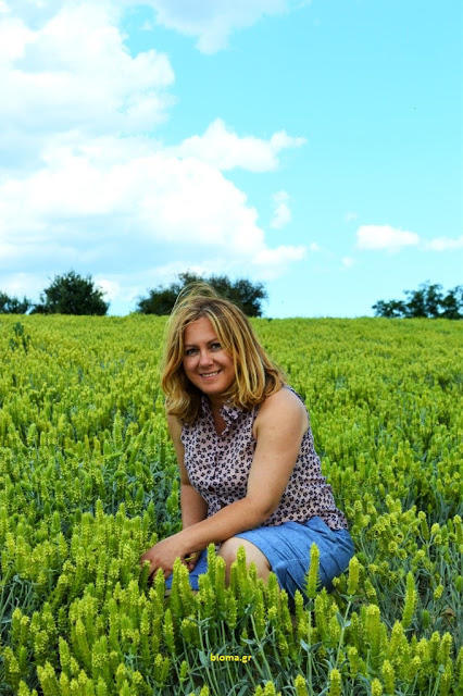 Dioni herbs: Μια οικογενειακή αγροτική επιχείρηση με πολλές προοπτικές